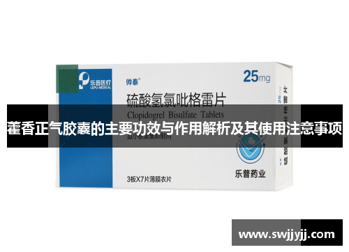 藿香正气胶囊的主要功效与作用解析及其使用注意事项
