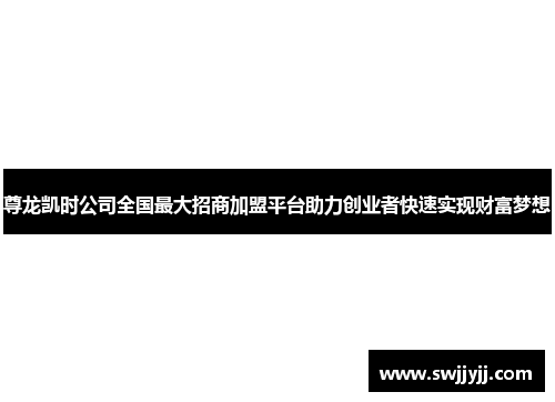 尊龙凯时公司全国最大招商加盟平台助力创业者快速实现财富梦想